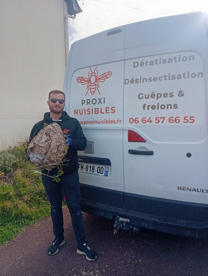 Gwendal Renault devant son vehicule Proxi Nuisibles avec un nid de frelons asiatiques